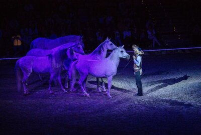 Cavalluna Pferdeshow begeistert in der Messe! - Cavalluna Pferdeshow - wieder begeisterten die Pferde und die Reiter das Publikum. Foto: Anika Weber