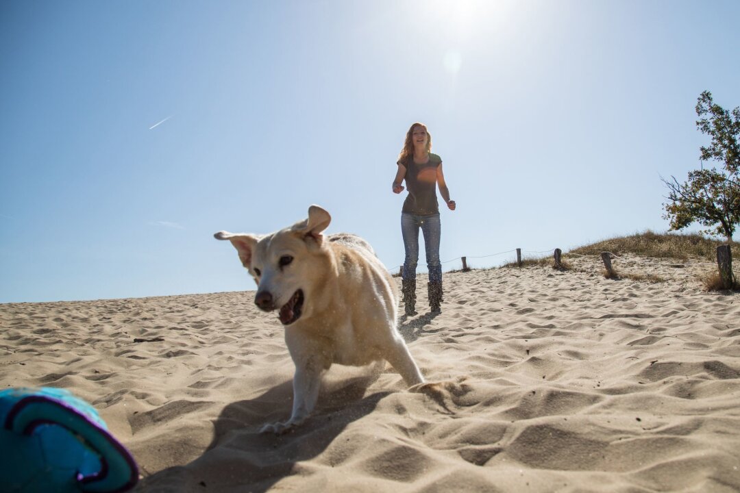 Checkliste: 7 Punkte für einen entspannten Urlaub mit Hund - Immer zusammen: Urlaub mit Hund ist wunderbar.