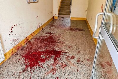 Chemnitz: Wildschwein verirrt sich in Wohnhaus und wird erlegt - Die Blutlache nach der Erlegung. Foto: Harry Härtel/haertelpress