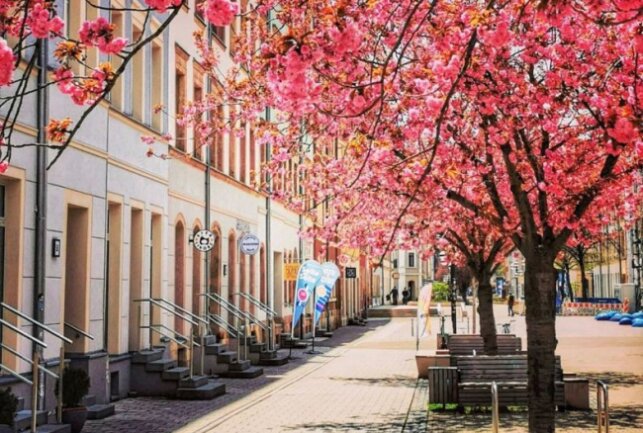 Chemnitzer Frühlingsfest auf dem Brühl startet wieder - Lasst uns den Frühling begrüßen. Instagram: @bruehlboulevard