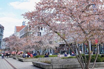 Chemnitzer genießen die Frühlingssonne - Ein schöner Dienstagnachmittag im April. Foto: Harry Härtel