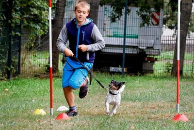 Chemnitzer Hundesportverein richtet höchste deutsche Hundesport-Meisterschaft aus - Die deutsche VDH-Meisterschaft im Tunierhundesport steht an. Foto: ChemPic