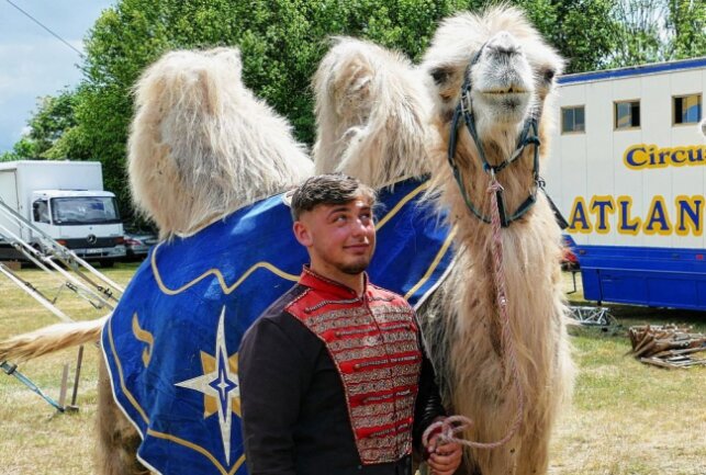 Circus Atlantik erstmals zu Gast im Erzgebirge - Mit seinen 20 Jahren ist Sandro Köllner, der sich hier gerade um ein Kamel kümmert, der Junior-Chef. Foto: Andreas Bauer
