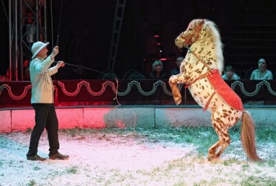 Circus Voyage macht auf Plauener Festplatz Station - Im zweiten Teil der Show erlebten die Besucher Tierdressuren mit Zirkusdirektor Alois Spindler. Foto: Thomas Voigt