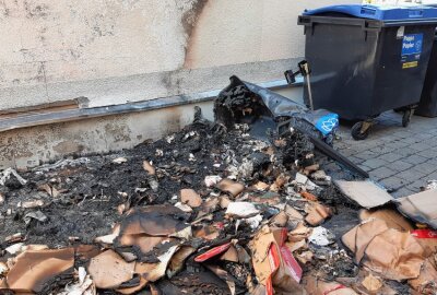 Containerbrand in Leipzig zerstört Hauselektrik - Unbekannte setzten einen Papiermüllcontainer in Brand. Foto: Anke Brod