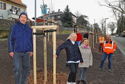 Crimmitschau: Pflegedienst hilft Kommune bei Baum-Ersatz - Für den Pflegedienst Maria pflanzte der Bauhof 20 Bäume. Foto: Michel