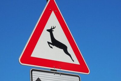 Crimmitschau: Tierfreundin bewirft Autofahrer mit Steinen - Frau bewirft Autofahrer mit Steinen. Grund ist die Wut über einen Wildunfall mit einem Hasen. Foto: Pixabay