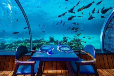 Das sind die 5 verrücktesten Bars der Welt - Ein Dinner unter dem Meer. Das geht im Hurawalhi Island Resort auf den Malediven. Foto: Facebook: @hurawalhi