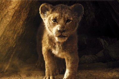 Das sind die erfolgreichsten Kinofilme aller Zeiten - Die Neuverfilmung von "König der Löwen" ist auf dem neunten Platz.