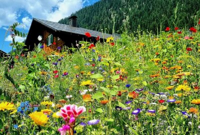 Das sind eure schönsten Urlaubsfotos des Sommers - Montafon, Österreich, Sommer 2021. Foto: privat