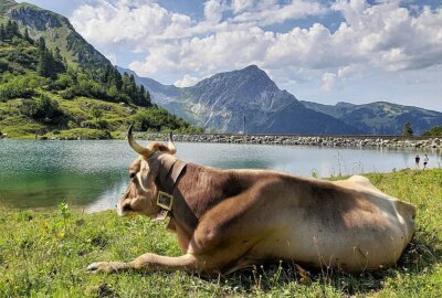 Das sind eure schönsten Urlaubsfotos des Sommers - Traualpsee,Tannheimer Tal, Österreich, August 2021. Foto: privat