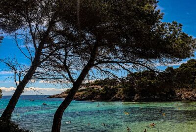 Das sind eure schönsten Urlaubsfotos des Sommers - Mallorca, Juni 2021. Foto: privat