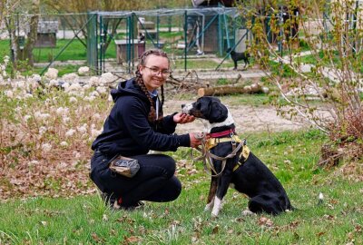 Das Tierheim sucht Freiwillige - Sanjelle Stiehler mit Hundedame "Bella". Foto: Markus Pfeifer