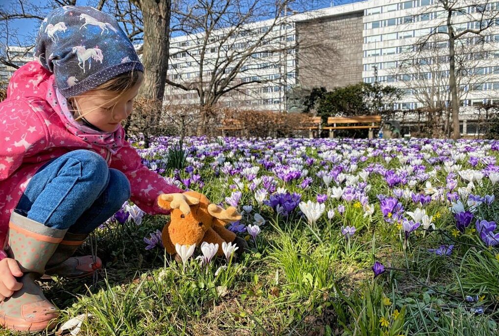 Der Frühling ist da! Chemnitz blüht auf - Im Stadthallenpark blüht es. Foto: Steffi Hofmann