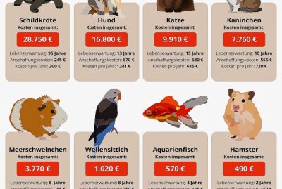 Der Haustier-Rechner: Soviel kosten Hund, Katze und Co. wirklich - Kosten für Haustiere. Grafik: Heimwerker.de