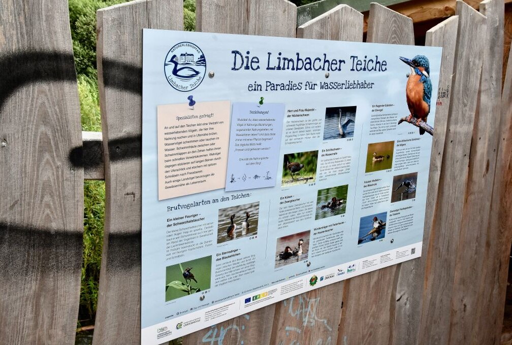 Der Limbacher Natur-Erlebnispfad wächst weiter - Der Limbacher Natur- und Erlebnislehrpfad wird um weitere Stationen ergänzt. Foto: Steffi Hofmann