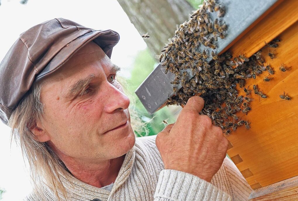Der mit den Bienen kuschelt - Frank Heckers geht mit seinen Bienen auf Tuchfühlung. Foto Thomas Voigt