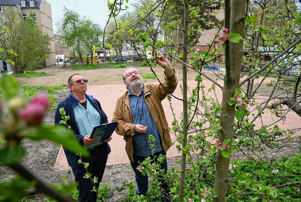 Der Sonnenberg wird grüner - Siegfried Weidlich (links) vom Grünflächenamt und Thomas Scherzberg (Die Linke), Sprecher für nachhaltige Stadt- und Regionalentwicklung. Foto: Andreas Seidel