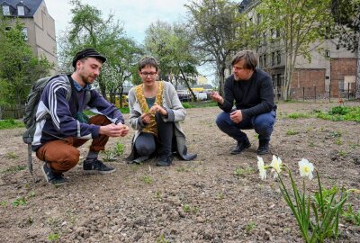 Der Sonnenberg wird grüner - Octavio Gulde, Maren Troschke und Rene Bzdok schauen sich den neuen Garten an (v.l.). Foto: Andreas Seidel