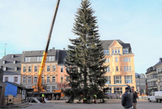 Der Weihnachtsbaum auf dem Annaberger Marktplatz steht - Der Weihnachtsbaum in Annaberg-Buchholz steht. Foto: Ilka Ruck