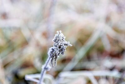 Der Winter macht sich im Erzgebirge breit - Der Winter kommt ins Erzgebirge. Foto: André März