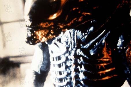 Die 10 schlimmsten deutschen Filmtitel - Der Kultstreifen "Alien" aus dem Jahr 1979 heißt auf Deutsch "Alien - Das unheimliche Wesen aus einer fremden Welt". Wer hätte es auch vermutet, dass ein Alien unheimlich und aus einer fremden Welt ist?!