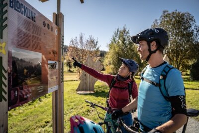 Blockline ist ein Netzwerk von Mountainbike-Trails, das sich über mehrere Kilometer erstreckt und unterschiedliche Schwierigkeitsgrade bietet. Foto: Dennis Stratmann
