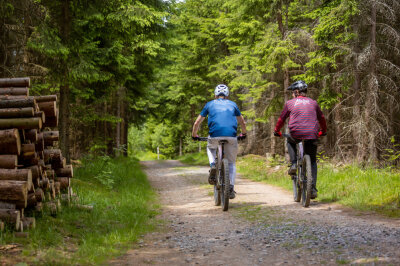 Die beliebtesten Mountainbikestrecken in Sachsen - Das Trailcenter Rabenberg im Erzgebirge ist ein wahres Paradies für Mountainbiker.