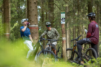 Die beliebtesten Mountainbikestrecken in Sachsen - Das Trailcenter Rabenberg im Erzgebirge ist ein wahres Paradies für Mountainbiker.