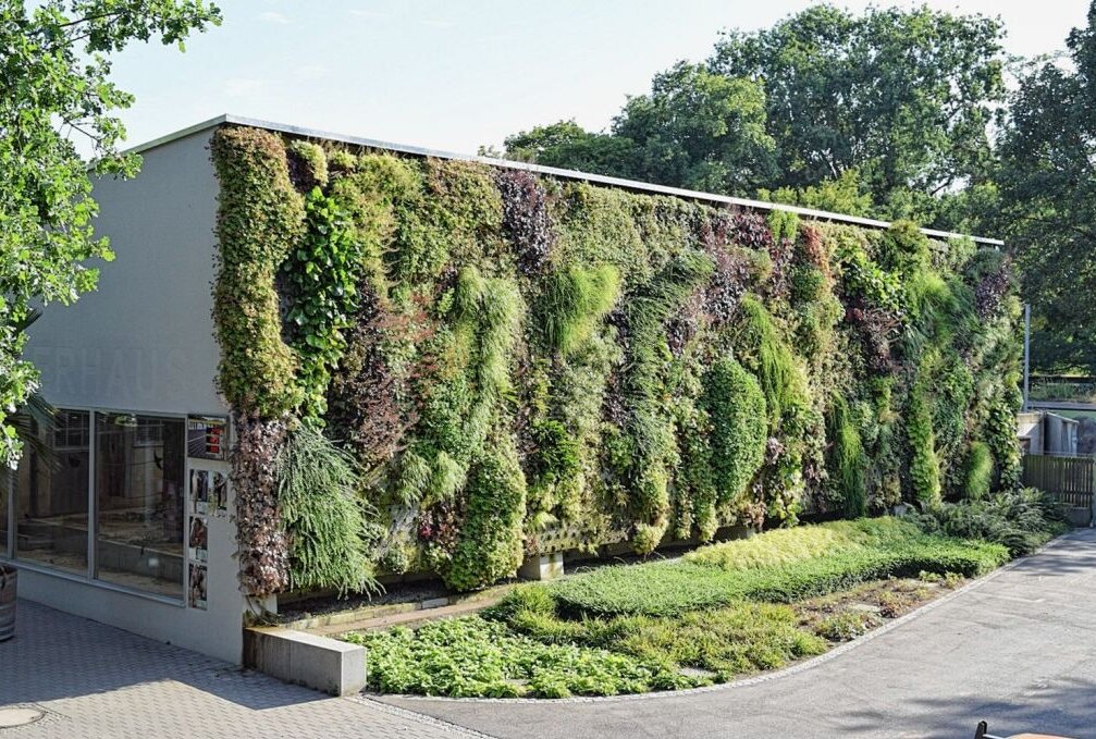 Solche grünen Fassaden soll es in der Innenstadt künftig häufiger geben. Foto: Stadt Chemnitz
