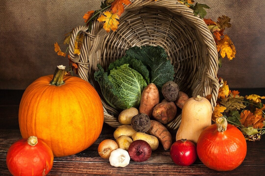 Der Herbst ist da, und mit ihm kommt die Kürbissaison in vollem Glanz. Foto: Pixabay