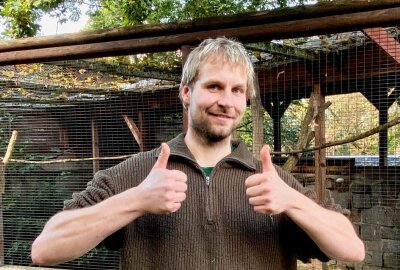 Die Zwerglachtaube wächst im Auer Zoo der Minis auf - Zootierpfleger Peter Hömke kennt seine tierischen Schützlinge. Foto: Ralf Wendland