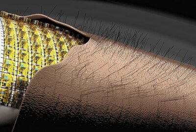 Diese Forschung geht unter die Haut - Mikroelektronische 3D-Sensorik nimmt Bewegung von Härchen auf künstlicher Haut wahr. Grafik: Forschungsgruppe