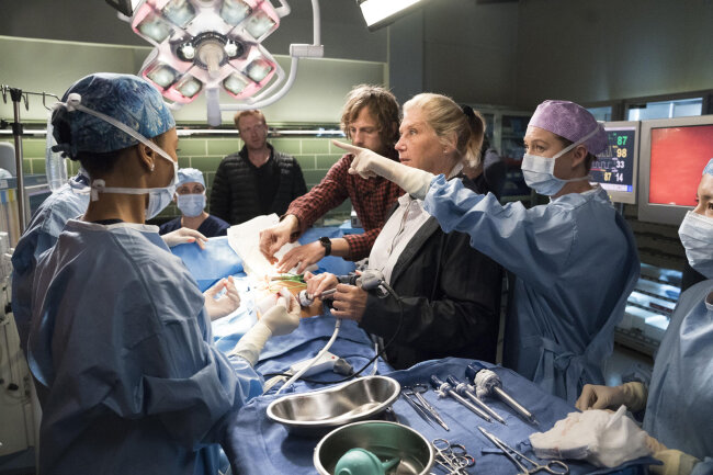 Ebenfalls am 27. März 2019 startet bei ProSieben die inzwischen 15. Staffel der Krankenhausserie "Grey's Anatomy". In der neuen Staffel wird Meredith - gespielt von Ellen Pompeo - neben zahlreichen neuen Heldentaten auch ein neues Liebesleben beschert, denn die 15. Staffel steht im Zeichen der Liebe...