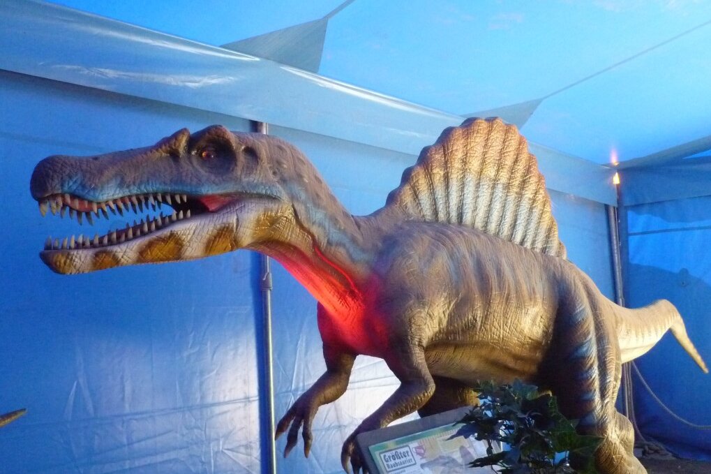 "Dinosaurier auf Tour" in Glauchau - Am Wochenende kommen die Dinos in die Sachsenlandhalle nach Glauchau. 
