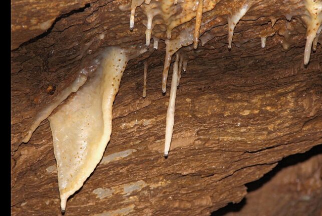 In der Drachenhöhle gibt es zahlreiche Sintergebilde zu entdecken. Foto: Simone Zeh