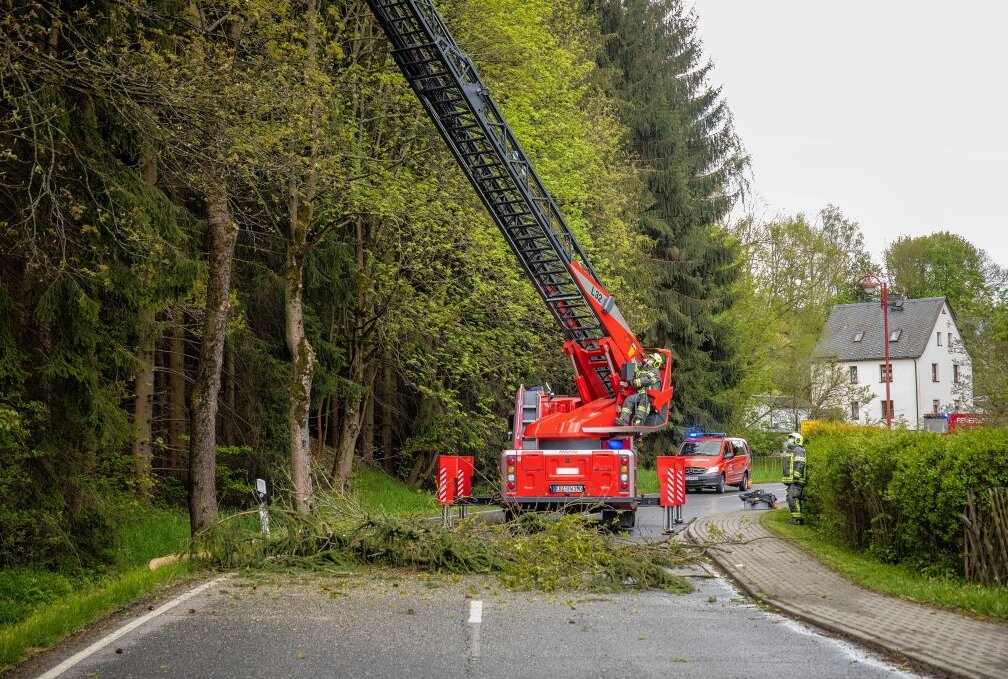 Drebach: Sturmböen fordern stundenlangen Feuerwehreinsatz - Der Sturm war am Dienstagnachmittag so heftig, dass Bäume umflogen. Foto: B&S/Bernd März