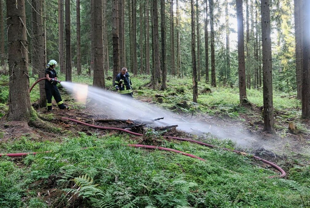 Erneut waren Brandstifter im Eibenstocker Wald unterwegs. Foto: Niko Mutschmann