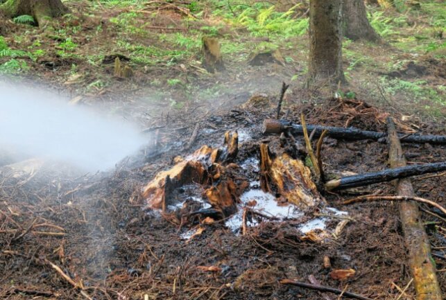 Eibenstock: Wieder Brandstifter im Wald unterwegs - Erneut waren Brandstifter im Eibenstocker Wald unterwegs. Foto: Niko Mutschmann