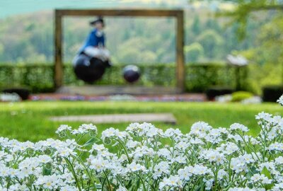 Ein Blütenmeer im Schlosspark Lichtenwalde - Tolle Bilder aus Lichtenwalde. Foto: Maik Bohn