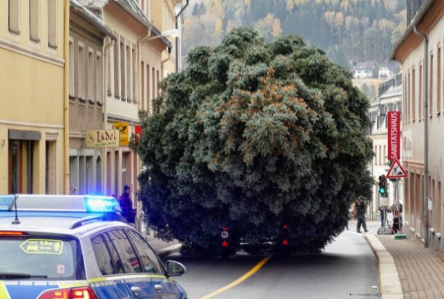 Ein mühsamer Ritt auf dem Zschopauer Weihnachtsbaum - Begleitet von der Polizei wurde der Baum transportiert. Obwohl die Strecke nur rund 1,5 Kilometern betrug, dauerte es etwas. Foto: Andreas Bauer