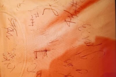 Mitte Dezember hatte Lara einen Beutel liegen lassen, in dem unter anderem dieser Pullover mit Autogrammen der Niners war.