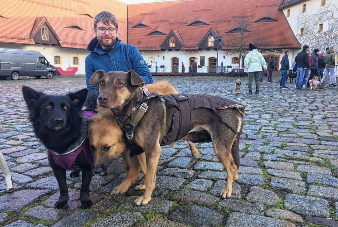 Ein tierischer Markt im Schlosshof Klaffenbach - Vierbeiner und ihre Besitzer sind zum Hundeweihnachtsmarkt eingeladen. Foto: Steffi Hofmann