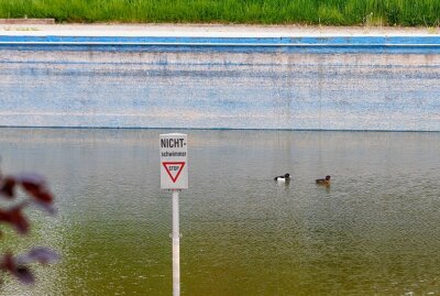 Eine neue Mauer, aber keine Badesaison in Gersdorf - Dieses Jahr können nur Enten das Sommerbad nutzen. Foto: Markus Pfeifer