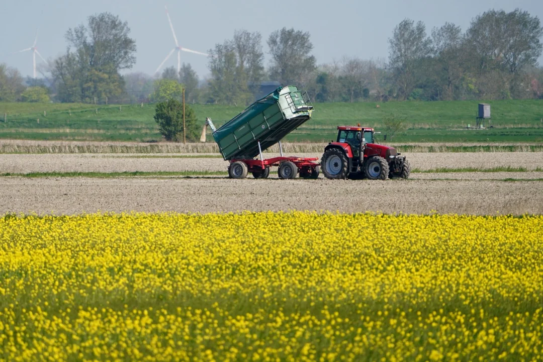 Endgültige Entscheidung zu EU-Lockerungen für Landwirte - Die Umweltauflagen für Landwirte sollen auf EU-Ebene gelockert werden - das ist nicht unumstritten.