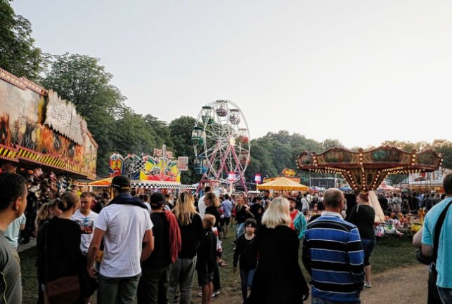 Impressionen vom Chemnitzer Ballonfest. Foto: ChemPic