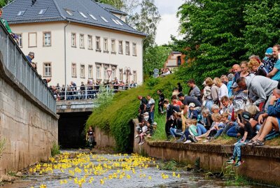 Endspurt für eine bunte Festwoche in Oberlungwitz - Das Entenrennen findet zweimal statt, am Sonnabend und am Sonntag. Foto: Markus Pfeifer
