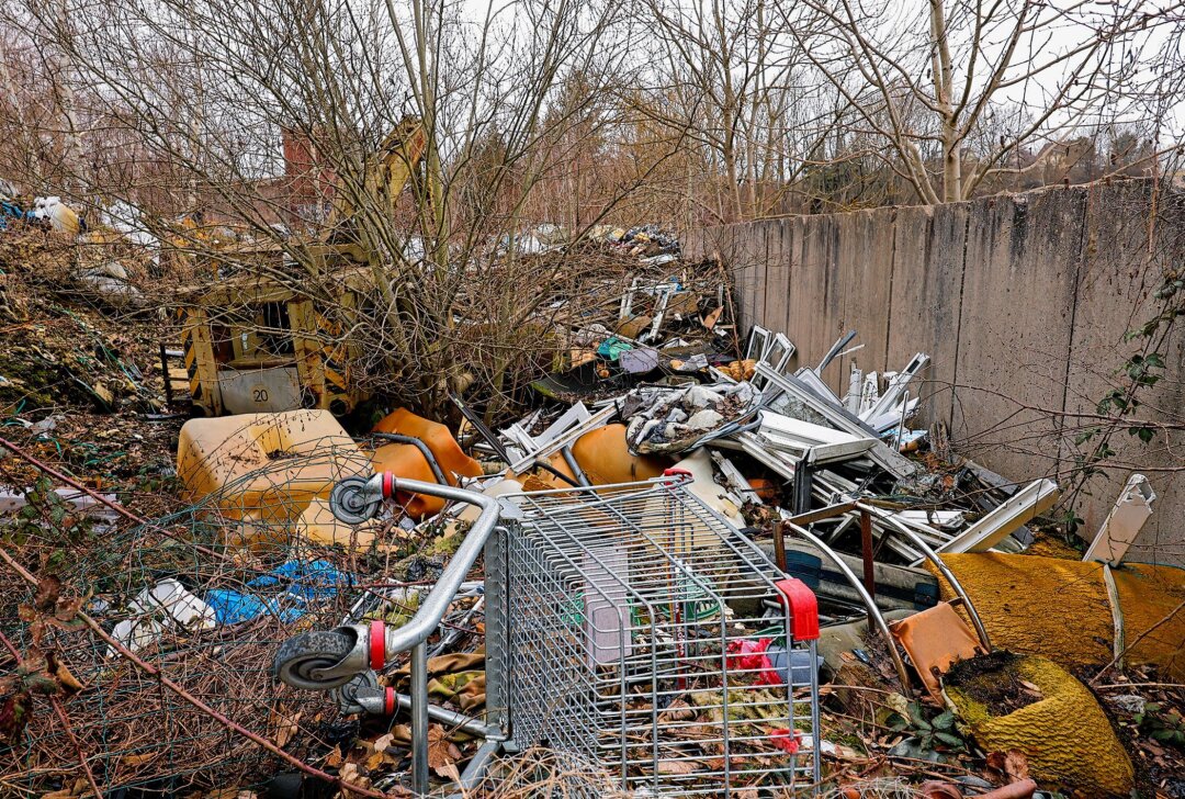 Entsorgungskosten im Millionenbereich: Illegale Mülldeponie bleibt Ärgernis - Die illegale Deponie bietet einen trostlosen Anblick. Foto: Markus Pfeifer 