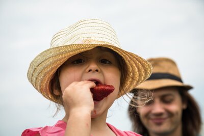 Erdbeeren selber pflücken: So gelingt das Familien-Erlebnis - Wer kann bei firschen Erdbeeren schon widerstehen?