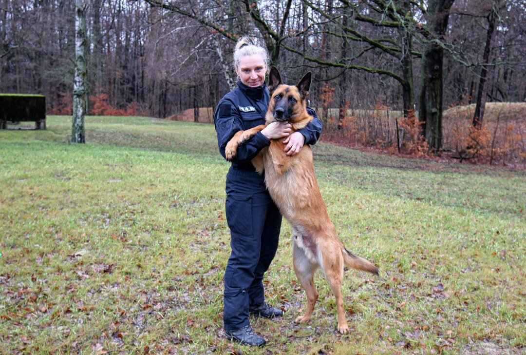 Erfolgreicher Einsatz von Diensthund Moby: Zwei Einbrecher in Bernsdorf gestellt - Diensthund Moby erwischte zwei Einbrecher auf frischer Tat. Foto: Polizeidirektion Chemnitz